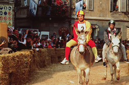 Artcle 5_Palio Article