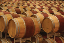 Wine-Intensive Tours