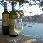 vermentino_4989