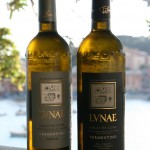 A mountain village in the Apua Alps, overlooking Lunae