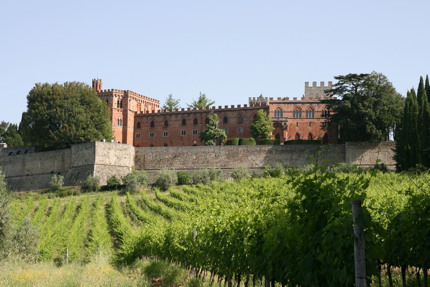 banner-dolce-vita-wine-tours-2982p.jpg