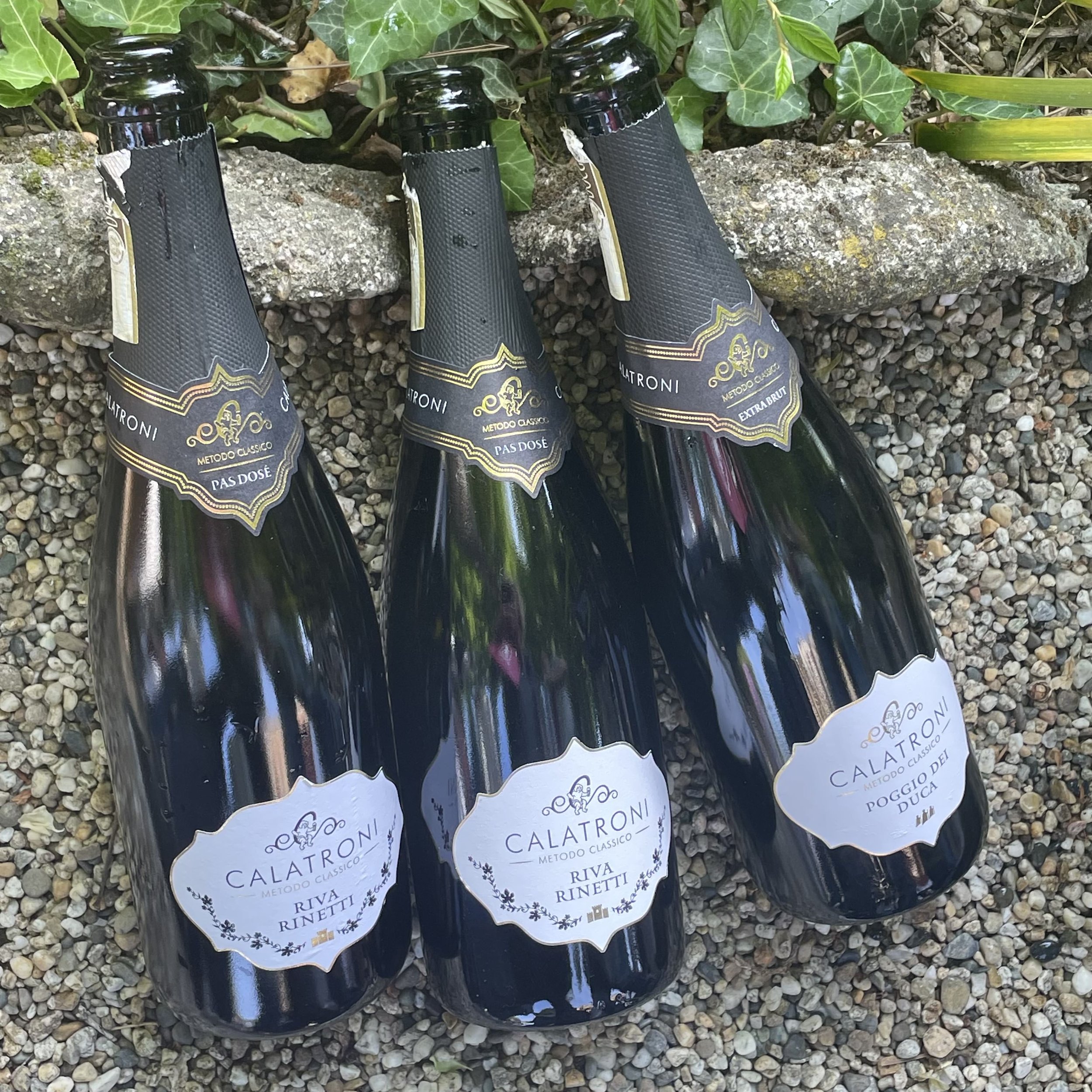 Oltrepò Pavese sparkling wines