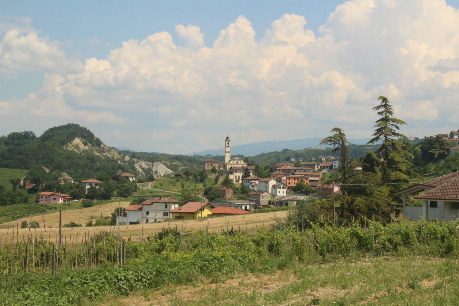 Some of those ‘sweet hills’, white with calcareous soil.